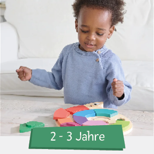 Spielzeug 2-3 Jahre